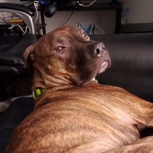 Meet your Posher, Ian